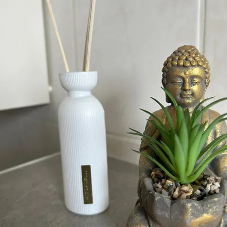 Zur Wildkatze Appartement