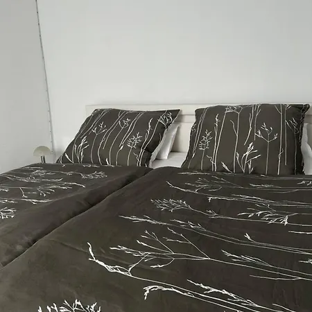 Appartement Zur Wildkatze *